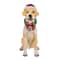 28" Motion-Activated Labrador Retriever with Wagging Tail, Music and 10 Multicolor UL LED Lights